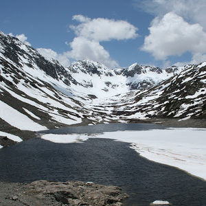 Meet your Posher, Steve